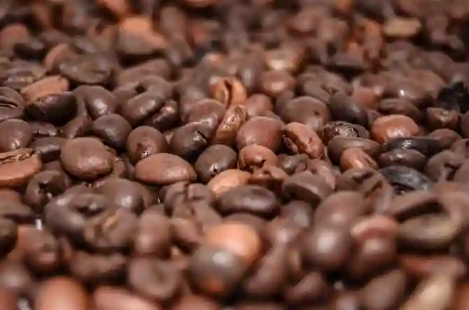 Действие кофеина на организм - все что вы хотели об этом знать