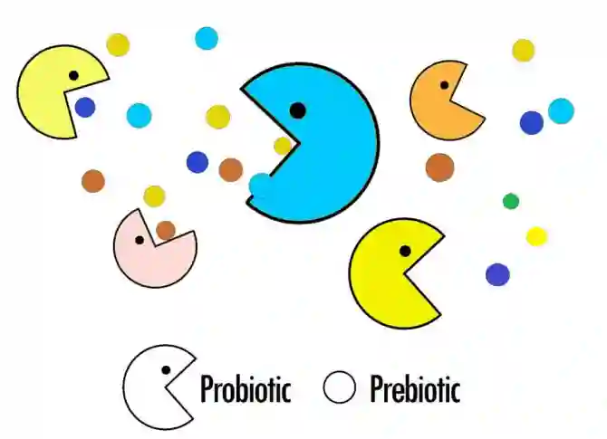 Пребиотики и пробиотики: в чем разница?