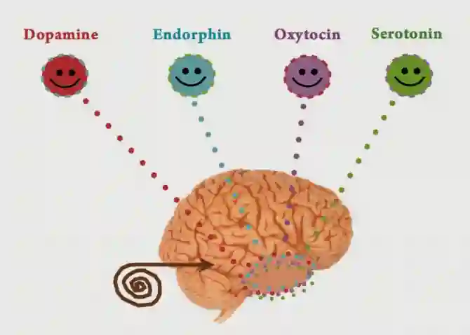 Счастливый квартет: серотонин, дофамин, окситоцин и эндорфин