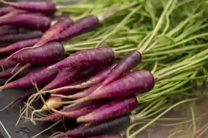 Фиолетовая морковь для вашего здоровья